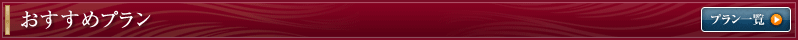 おすすめプラン