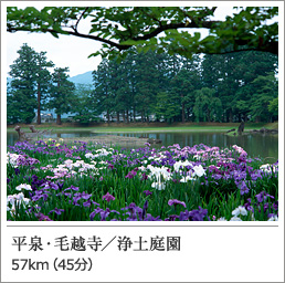 平泉・毛越寺／浄土庭園